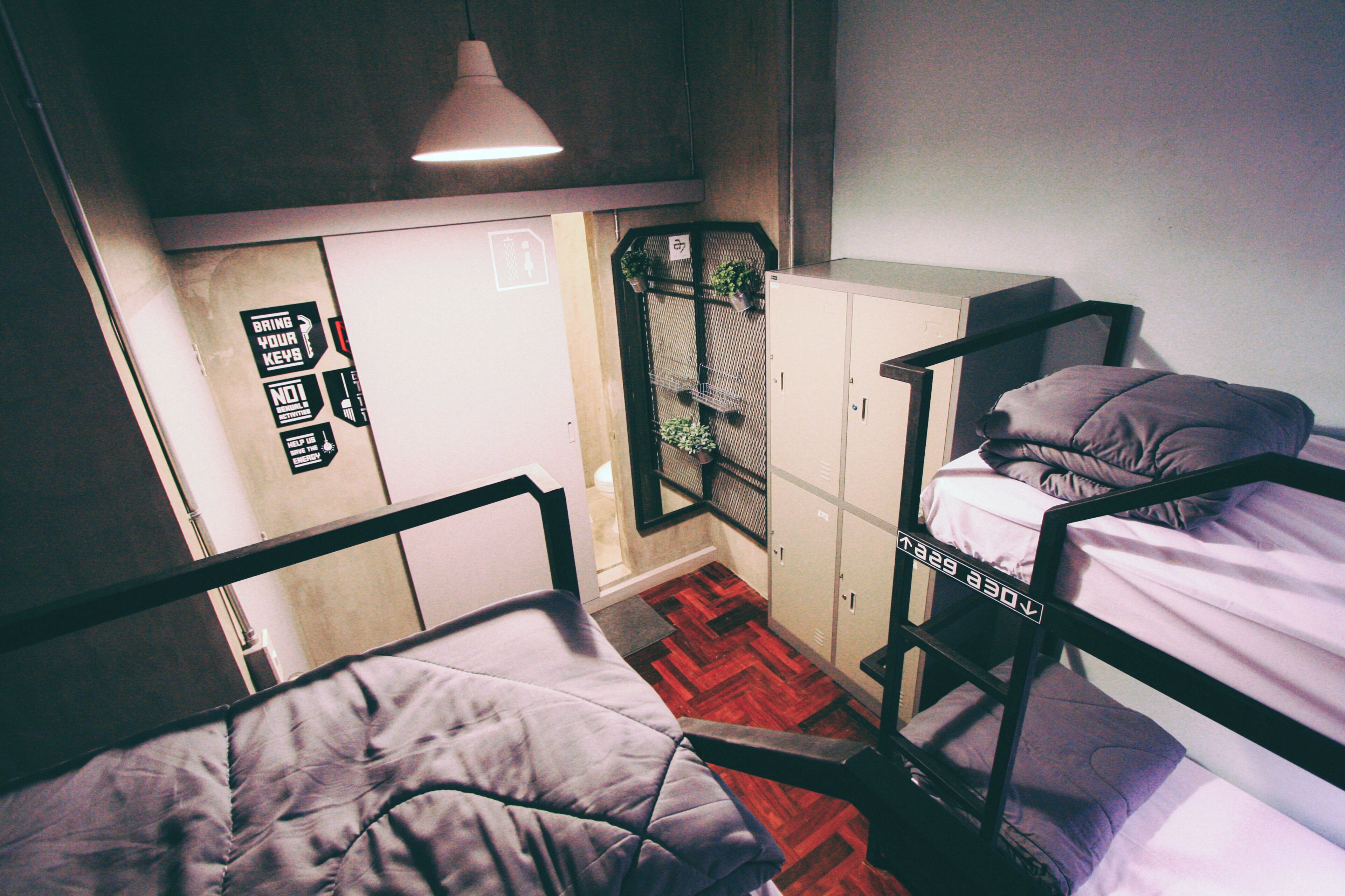 Un dormitorio con literas, un escritorio, una silla y una planta colgante.
