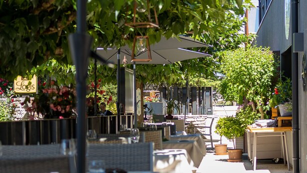 Un área de comedor al aire libre con mesas y sillas, rodeada de vegetación y un edificio al fondo.