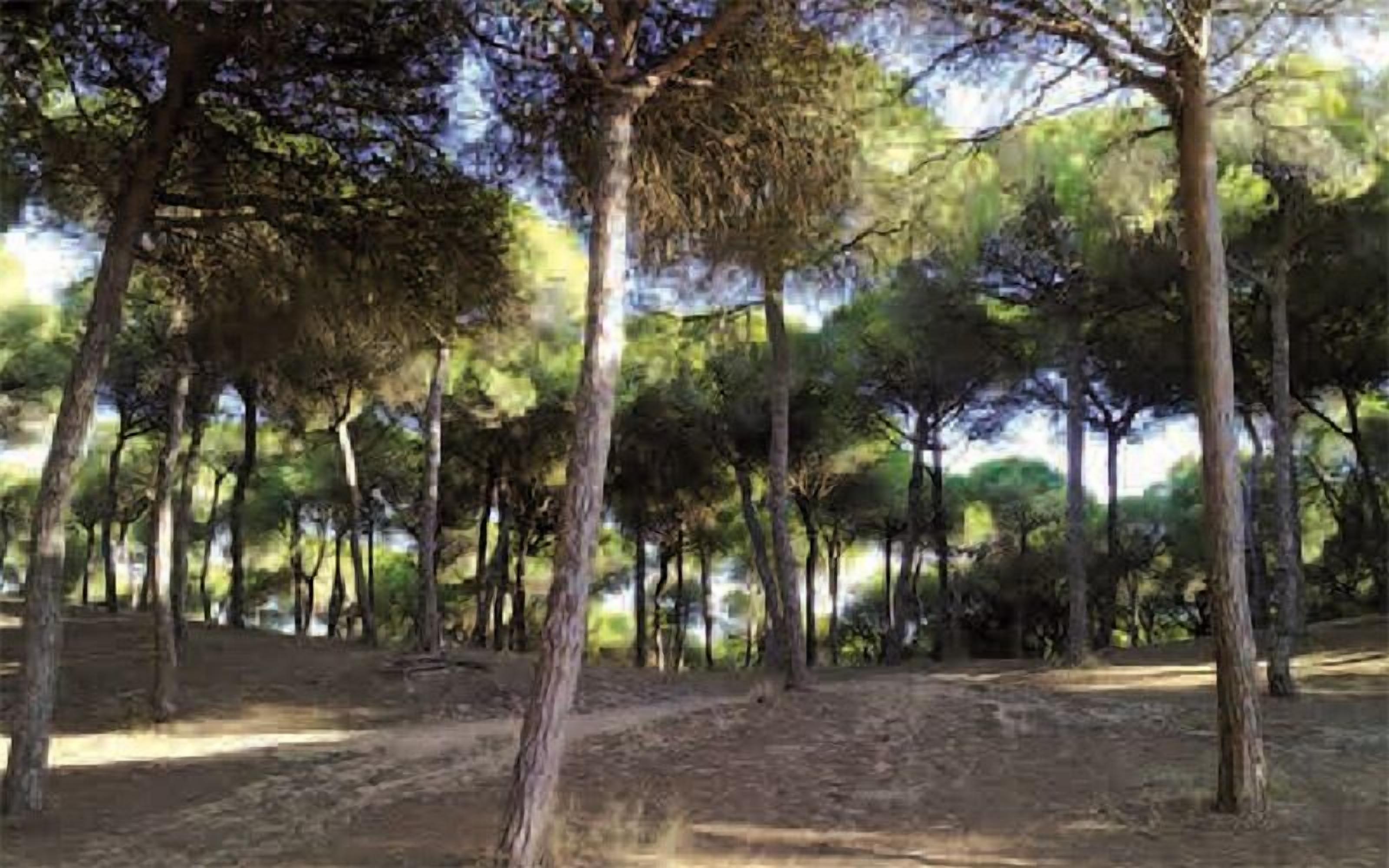 Photo - Hostal Alhaja Playa