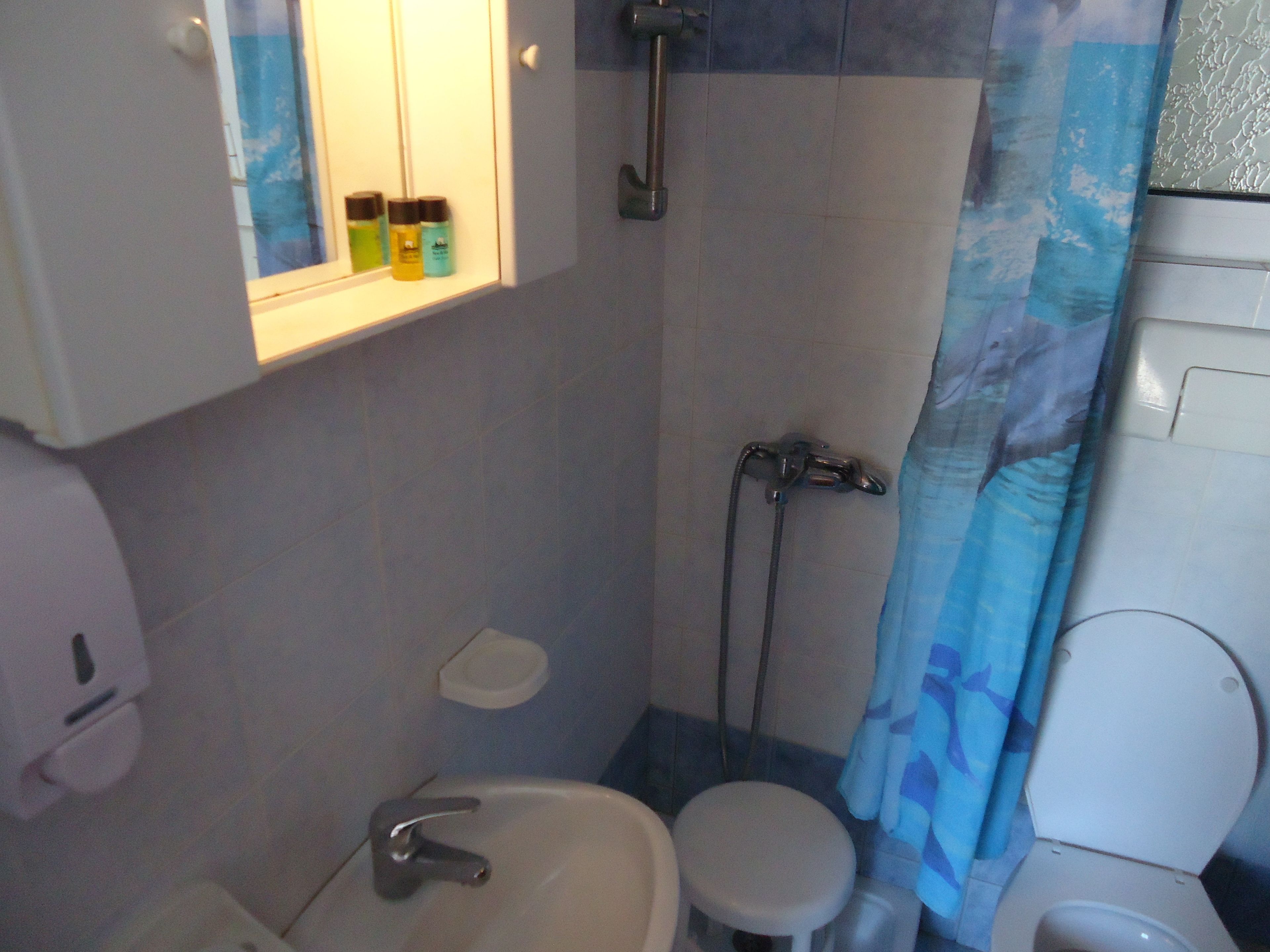 Een badkamer met een wastafel, toilet en douche. Er staan toiletartikelen op de wastafel en er hangt een douchegordijn.