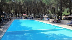Una piscina con sillas de descanso y sombrillas, rodeada de árboles.