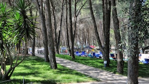 Un parque con un camino pavimentado, árboles y sillones azules.