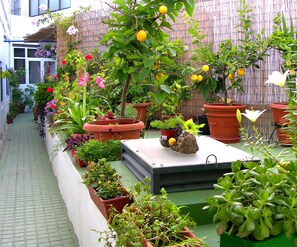 View from property - Apartamentos Calypso (Punta Umbria)