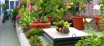 Apartamentos Calypso