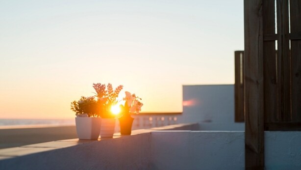 Ein Balkon mit Topfpflanzen und Blick auf den Sonnenuntergang über dem Meer.