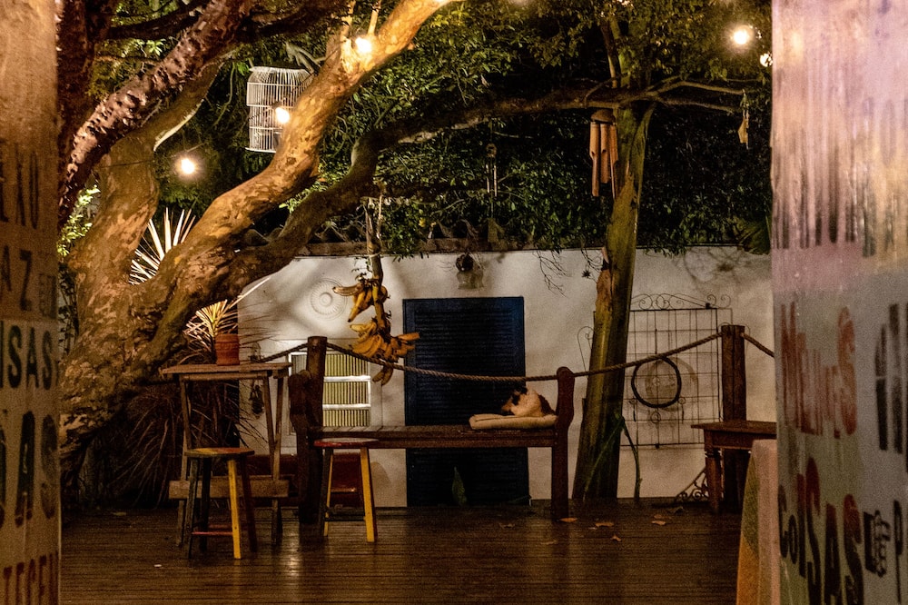 Paradiso Hostel
