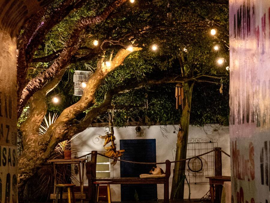 Aire de pique-nique/barbecue