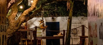 Paradiso Hostel