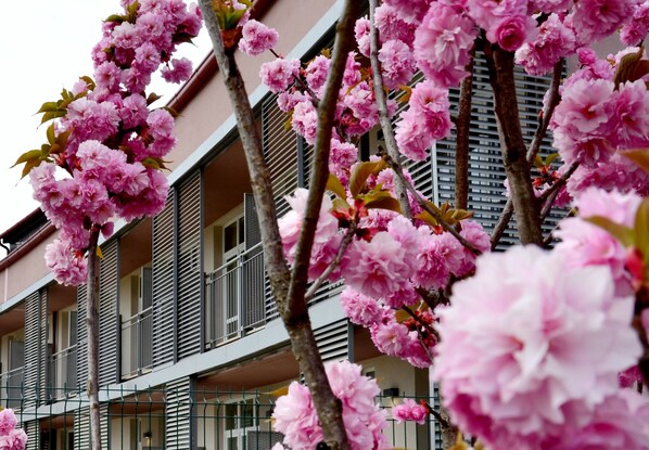 Exterior detail - Privilege Apartments (Vimercate)