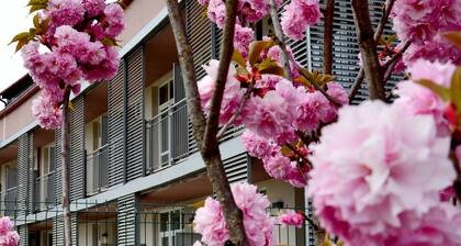 Privilege Apartments