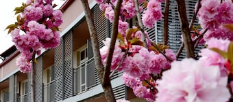 Privilege Apartments