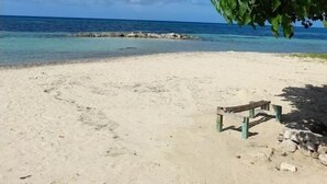 Una playa con agua azul cristalina, una orilla arenosa y un banco de madera.