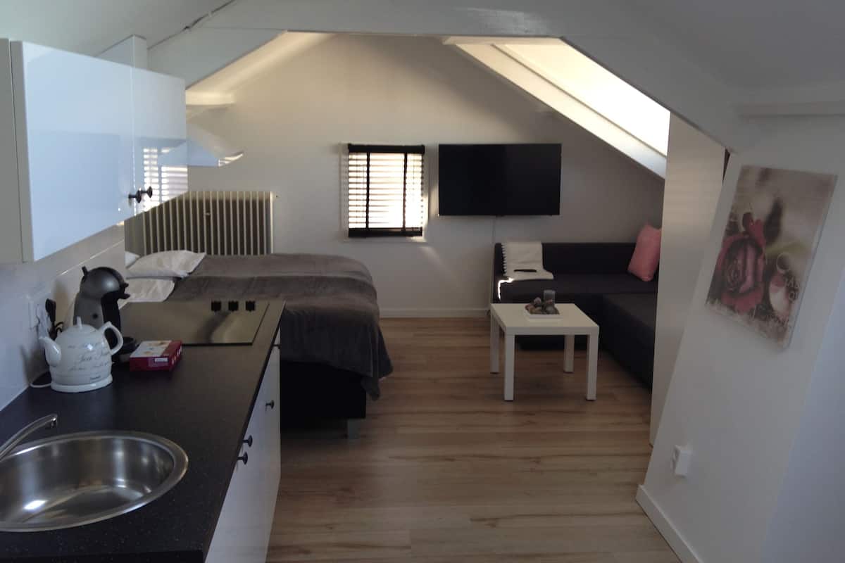 Een compact appartement in moderne stijl, met een kitchenette, een bed, een bank en een aan de muur bevestigde televisie.