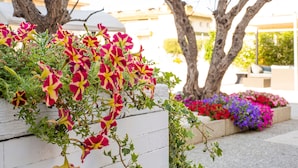 A garden with vibrant flowers and a white wooden planter. - Centremar (Torroella de Montgrí)