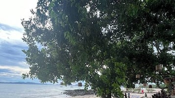 Playa privada, camastros, toallas de playa y masajes en la playa