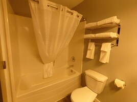 Combined shower/tub, free toiletries, hair dryer, towels