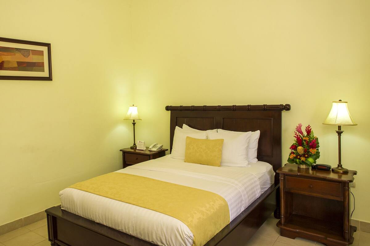 Standard Queen Room | Vista do quarto
