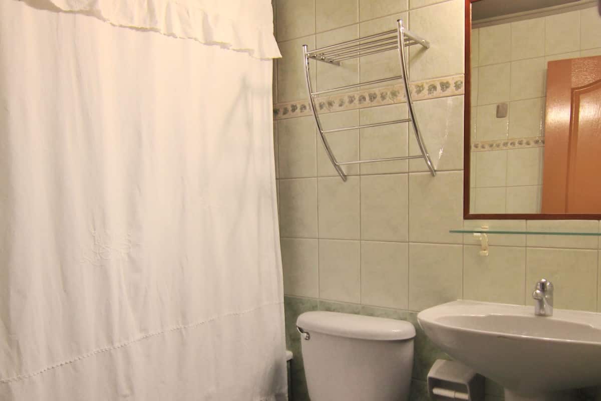 combined shower/bathtub, hair dryer, towels