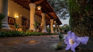 Un espacio al aire libre cubierto con columnas, plantas en macetas y un camino que lleva a un edificio.