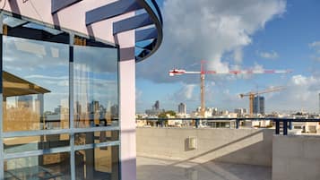 Penthouse, 3 Bedrooms | View from room