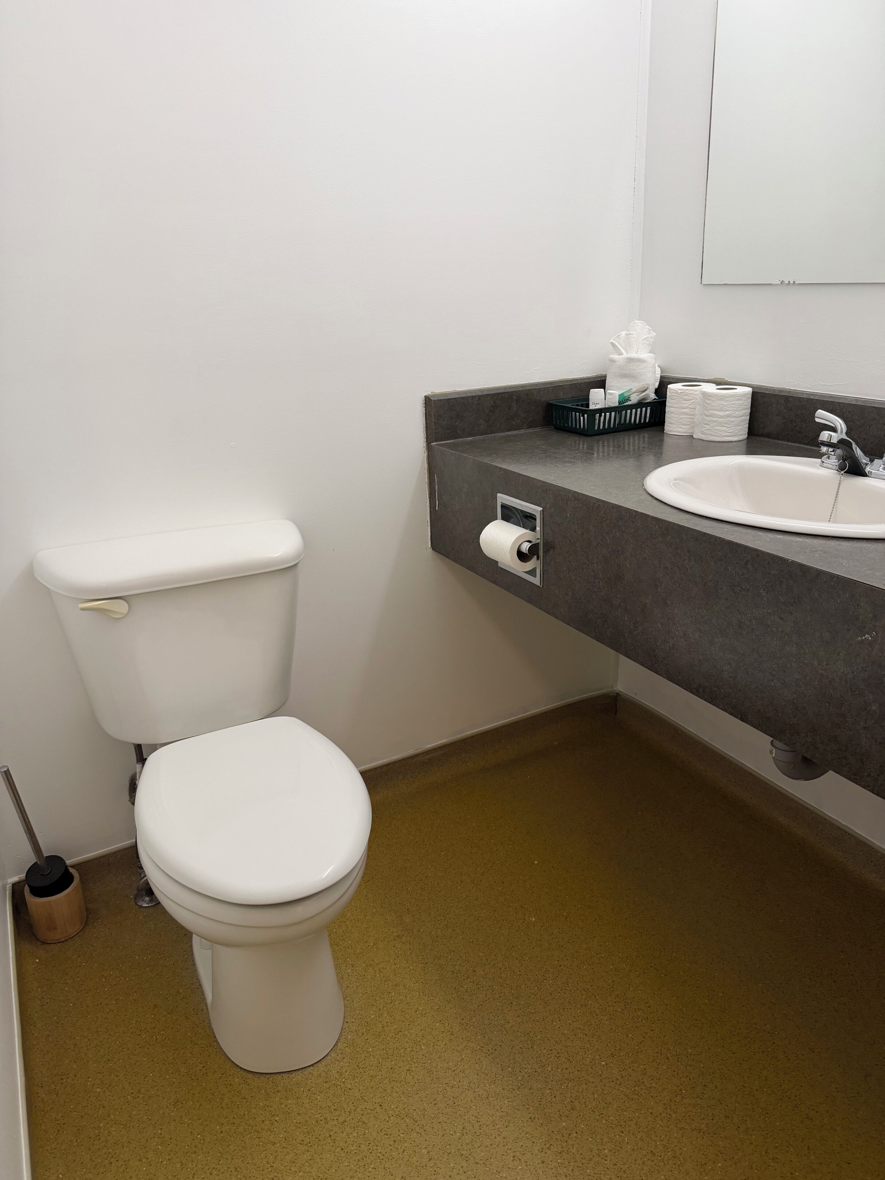 A bathroom with a toilet, sink, and toilet paper dispenser.