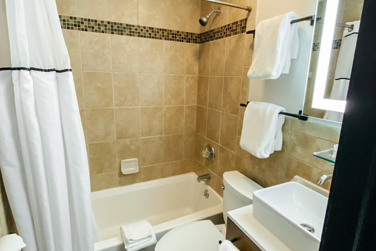 room, private bathroom (room 103) | bathroom | combined shower/bathtub, free toiletries, hair dryer, towels
