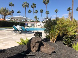 Zona de piscina con sillones de descanso, palmeras y un jardín de rocas.