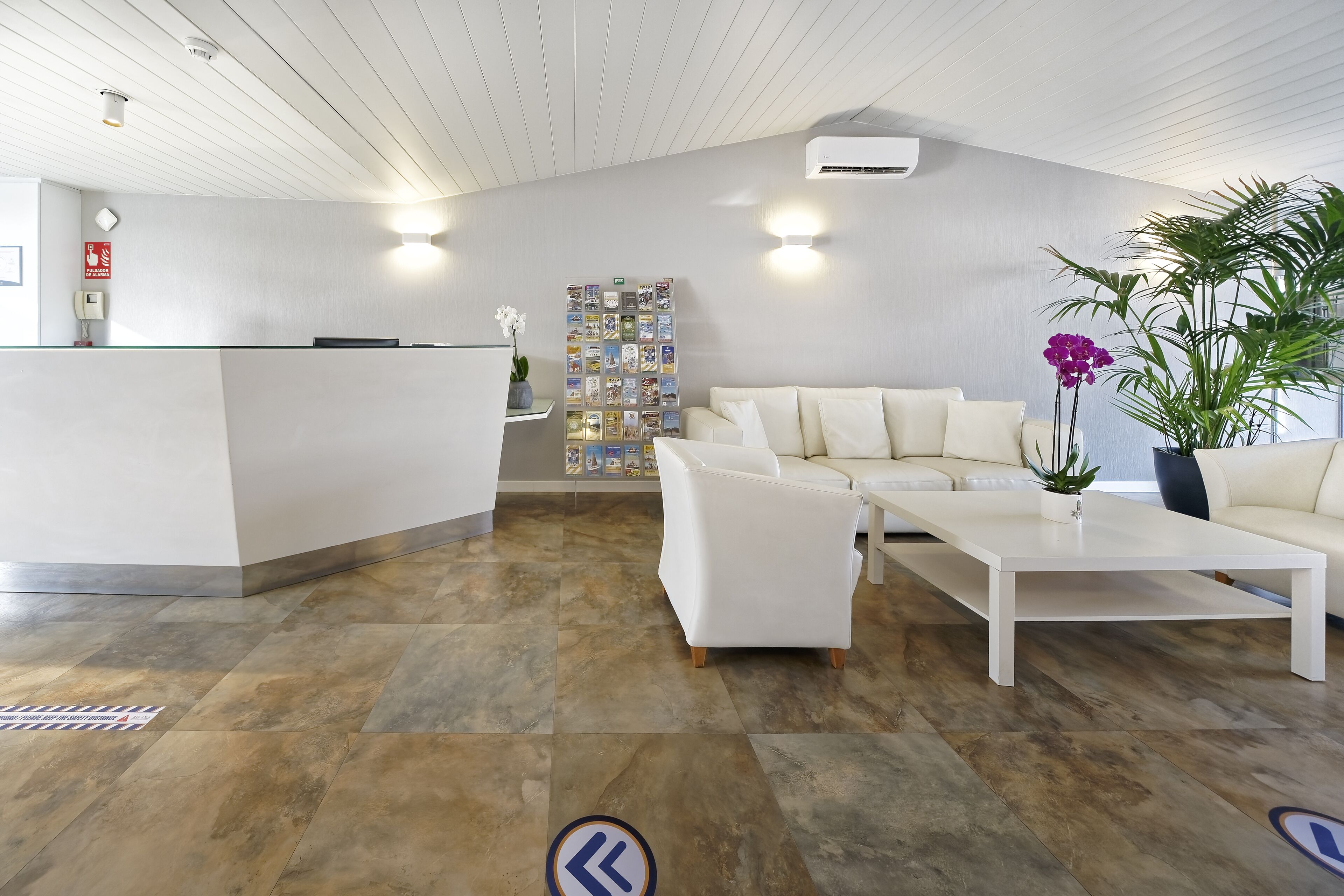Un área de recepción moderna con un mostrador blanco, un sofá, una mesita de centro y una planta en maceta.