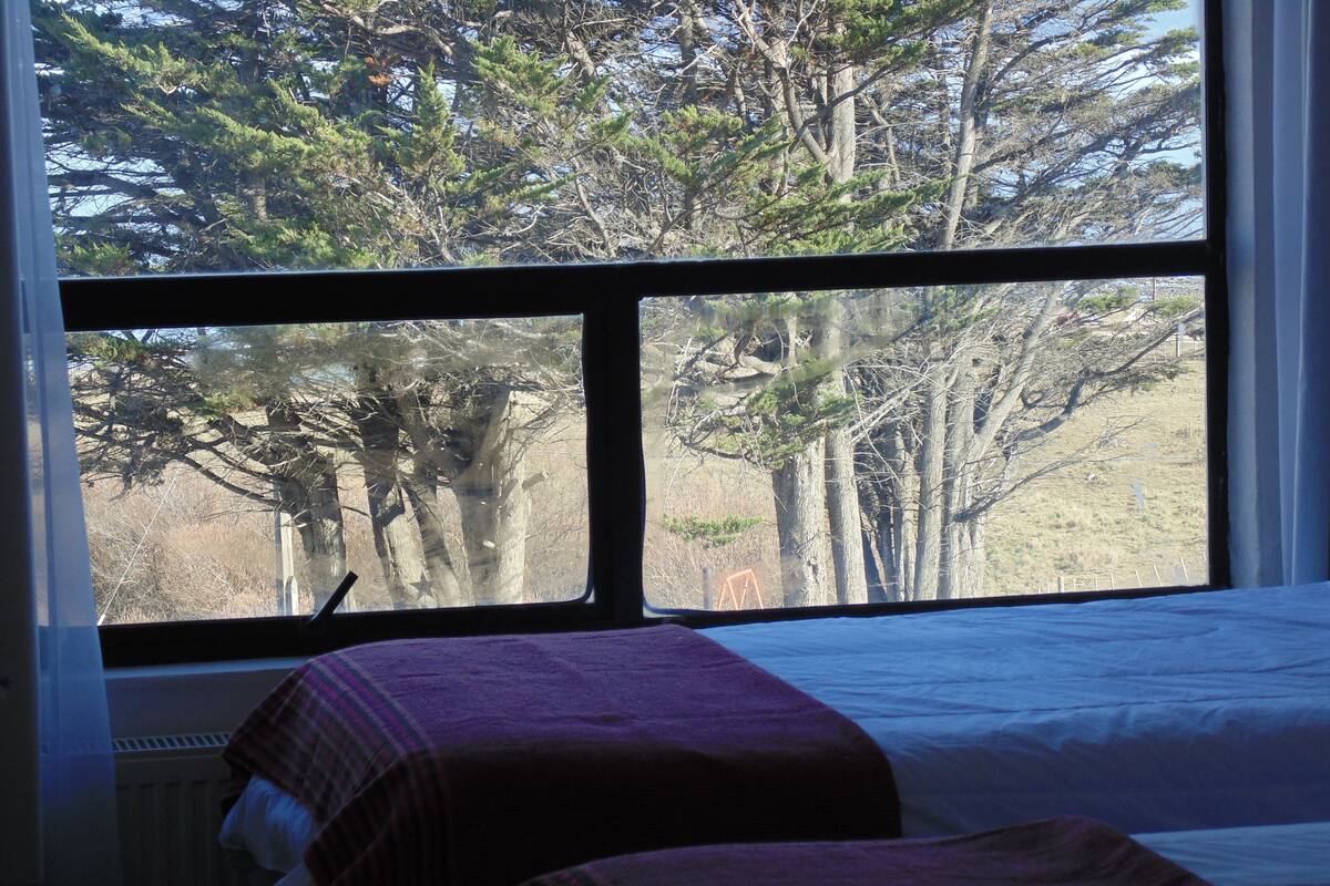 A room with a bed, a window, and a view of trees.