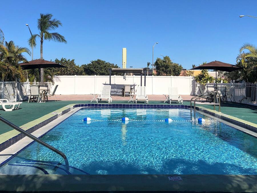 A rectangular swimming pool with clear blue water, surrounded by white lounge chairs and umbrellas, palm trees, and a white fence.
