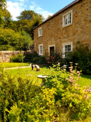 Exterior - Burnhopeside Hall (Durham)
