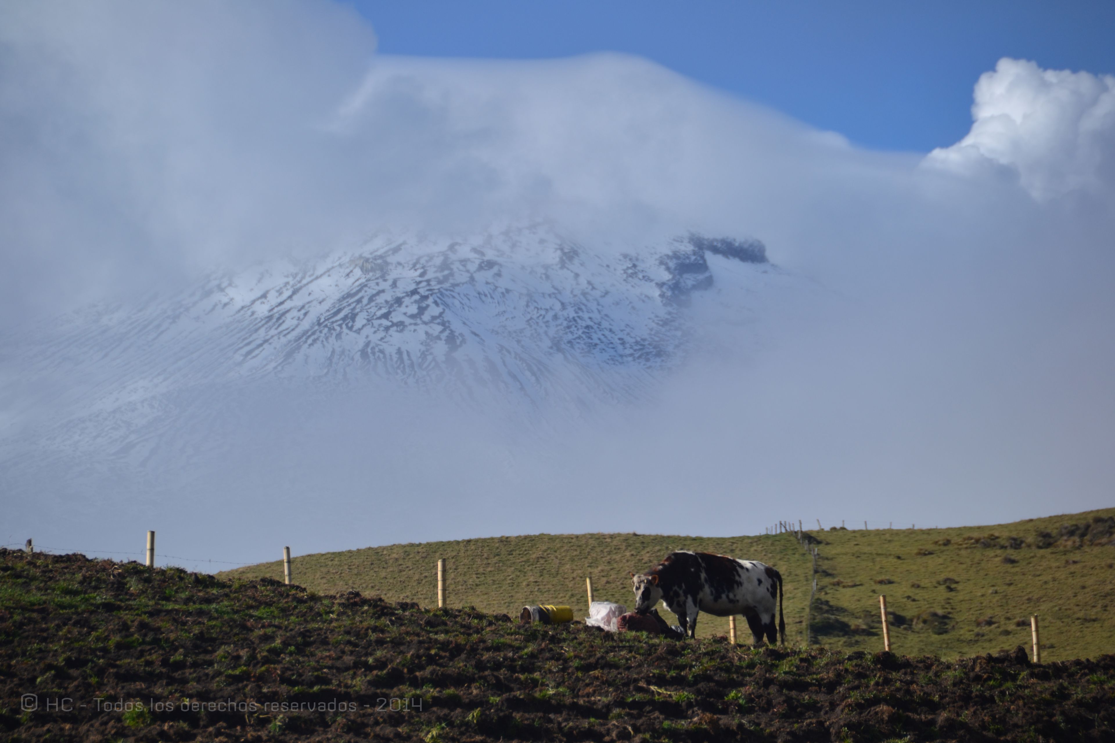 Foto - Hotel Termales del Ruiz