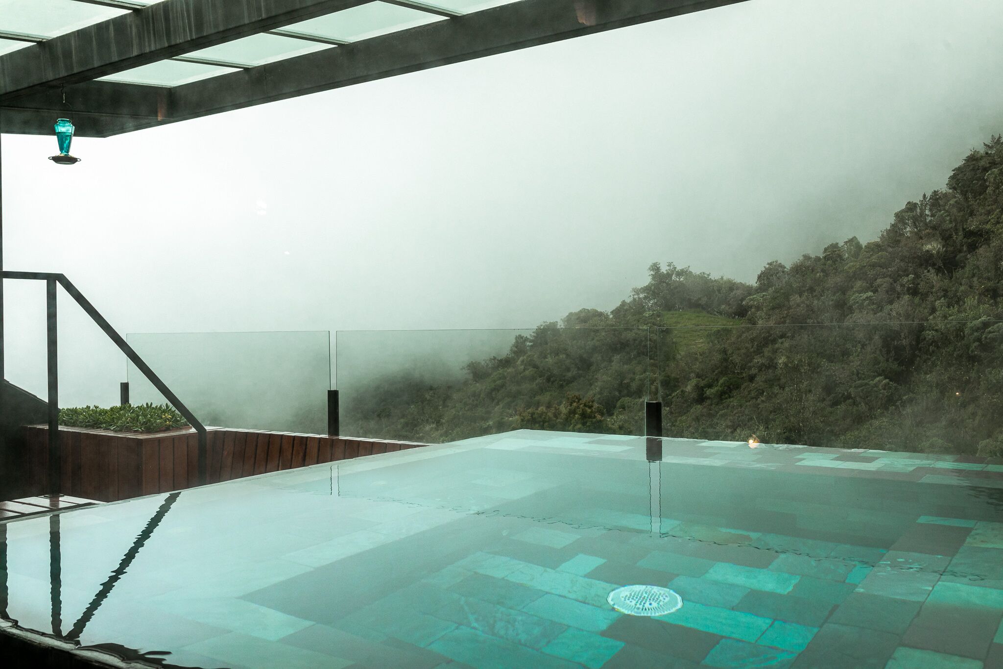 A glass-enclosed infinity pool with a view of a misty forested hillside.
