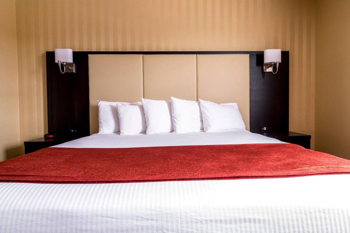 1 bedroom, desk, iron/ironing board, free wifi