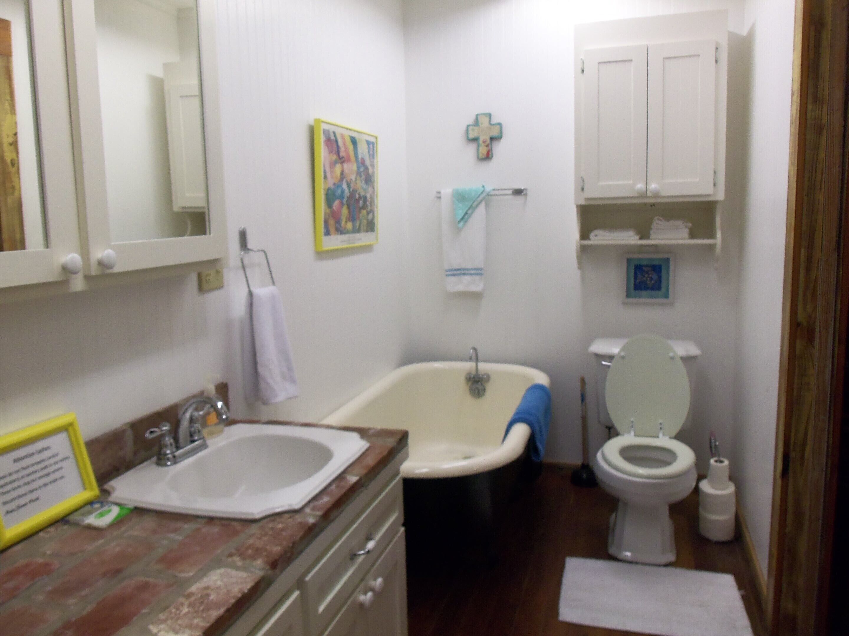 basic suite, 1 king bed with sofa bed | bathroom | combined shower/bathtub, hair dryer