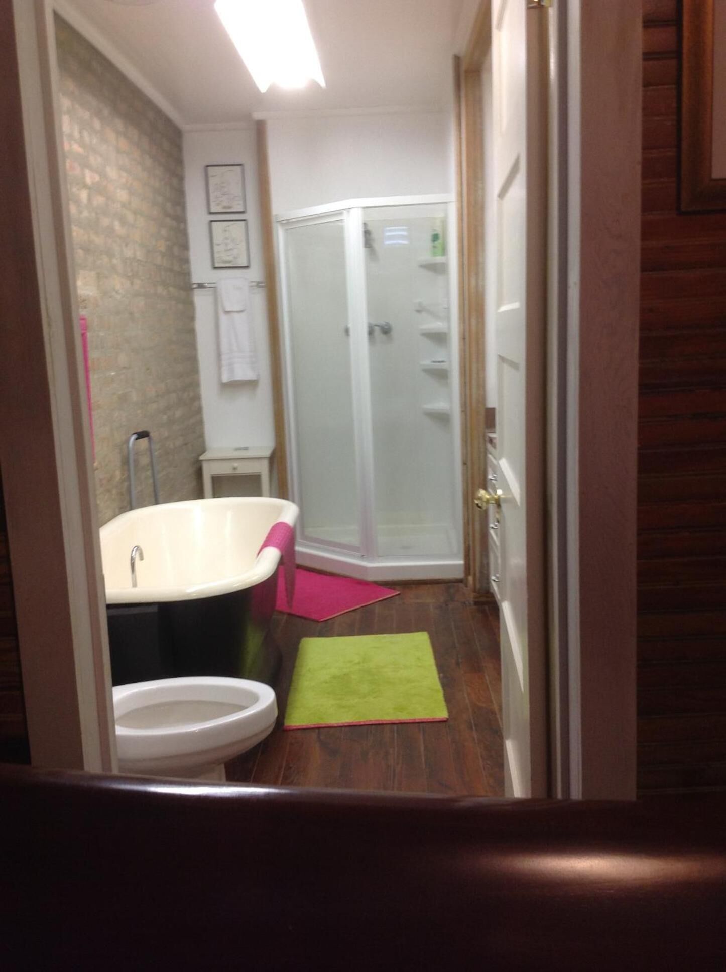 combined shower/bathtub, hair dryer