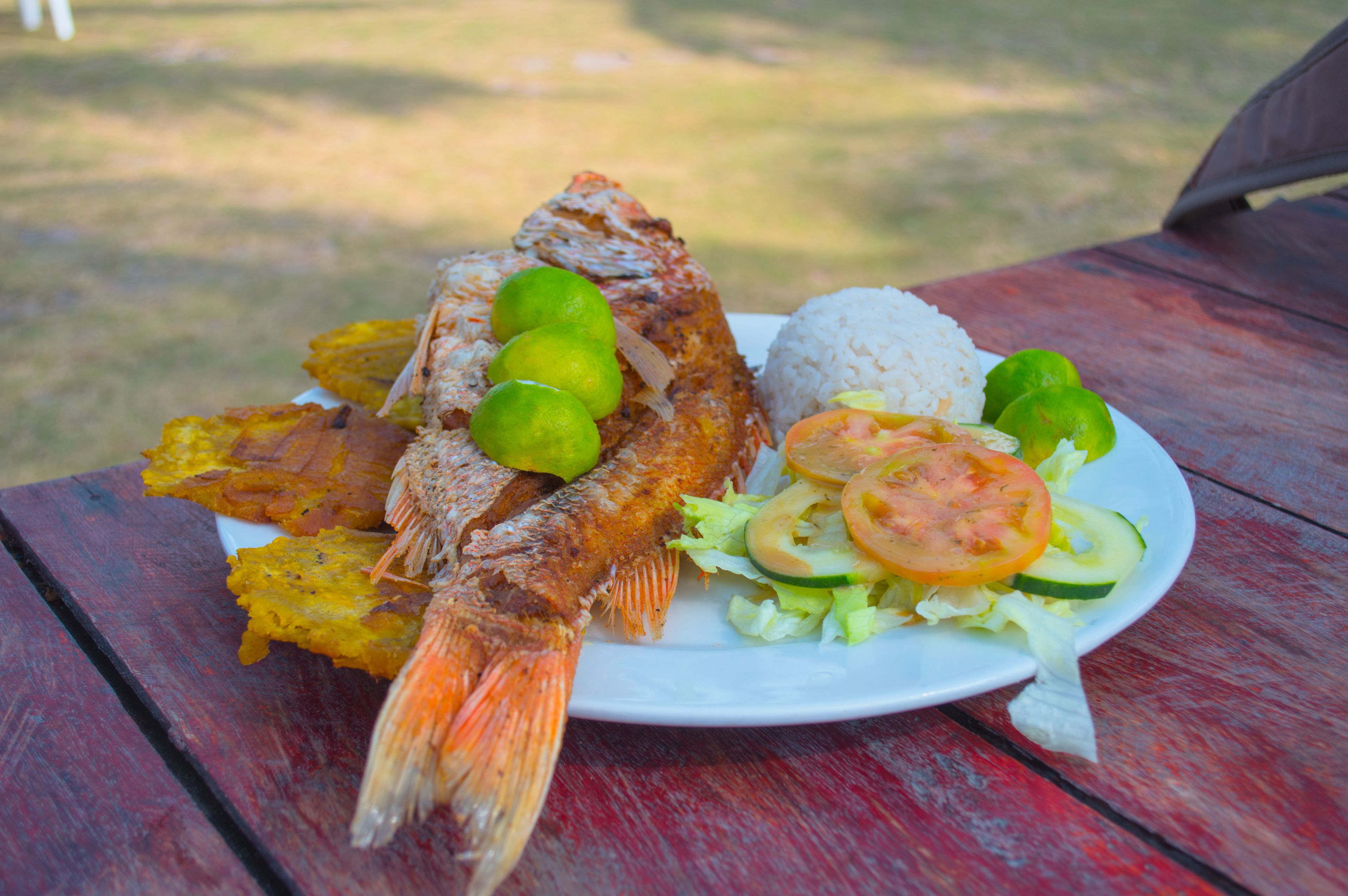 Foto - Palmarito Beach Hotel