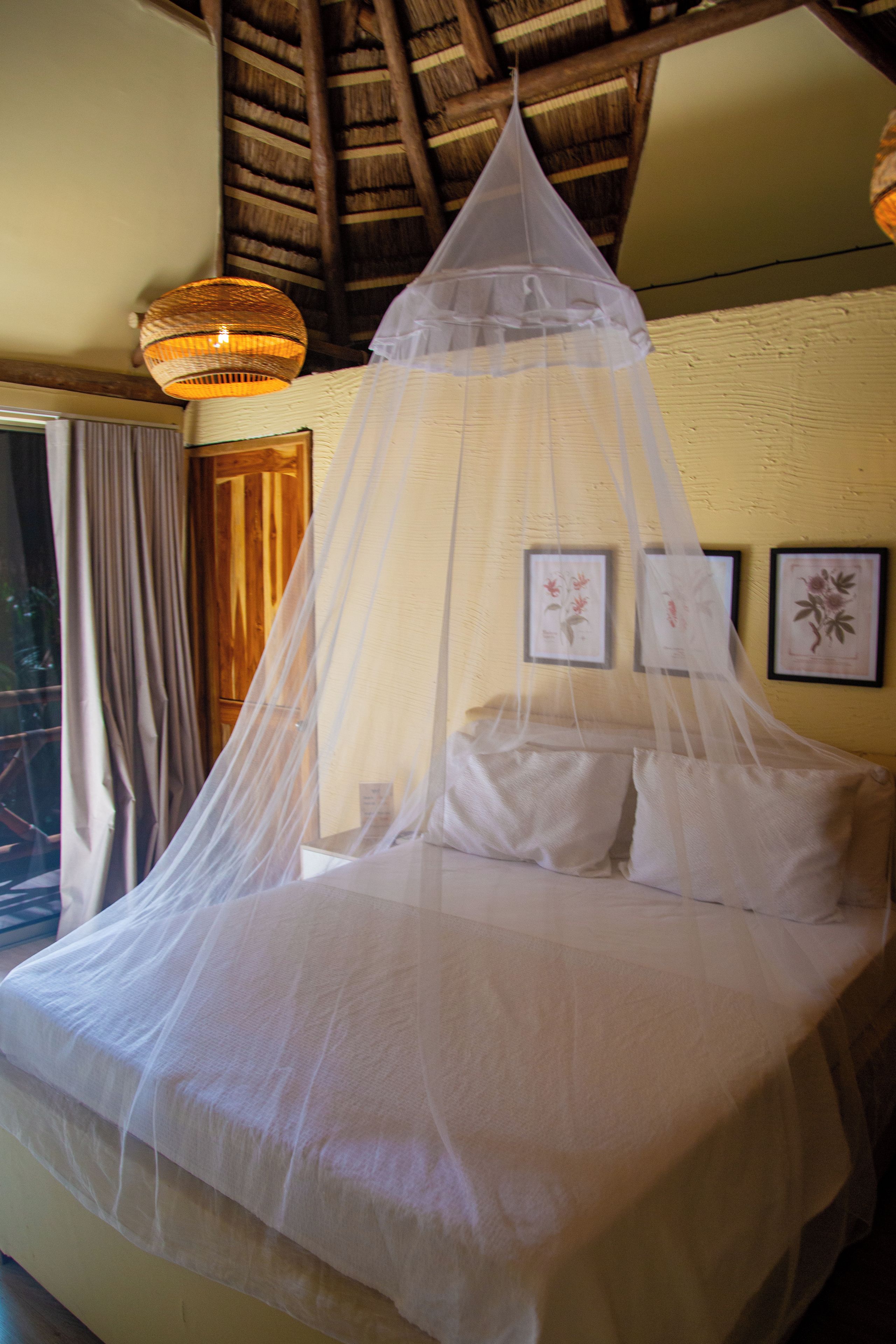 A bed with a canopy, a hanging light fixture, and framed botanical prints on the wall.