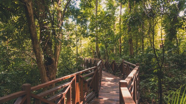 Jardines del alojamiento