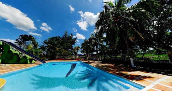 A swimming pool with a clear blue water surface, surrounded by palm trees and a tiled deck.