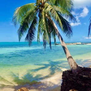 On the beach, sun-loungers, beach umbrellas, beach towels - Sibaja Palms Sunset Beach Apartment (Koh Samui)