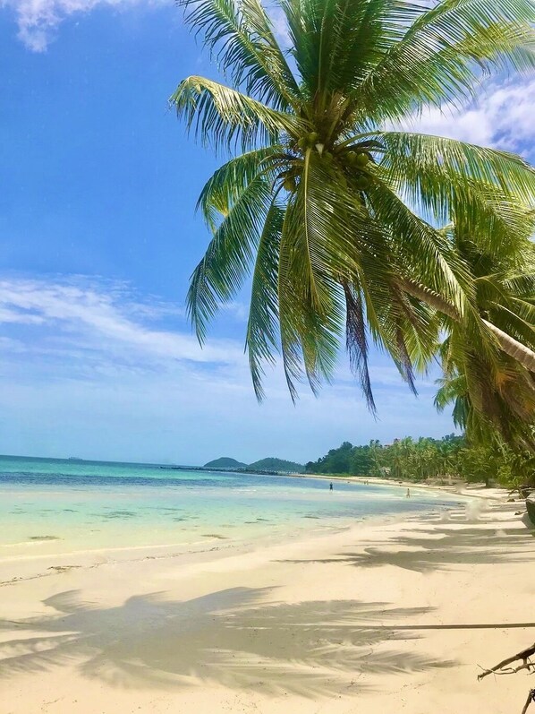 해변에 위치, 일광욕 의자, 비치 파라솔, 비치 타월