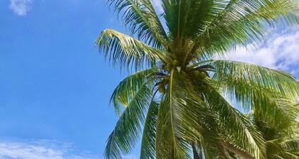 Sibaja Palms Sunset Beach Apartment