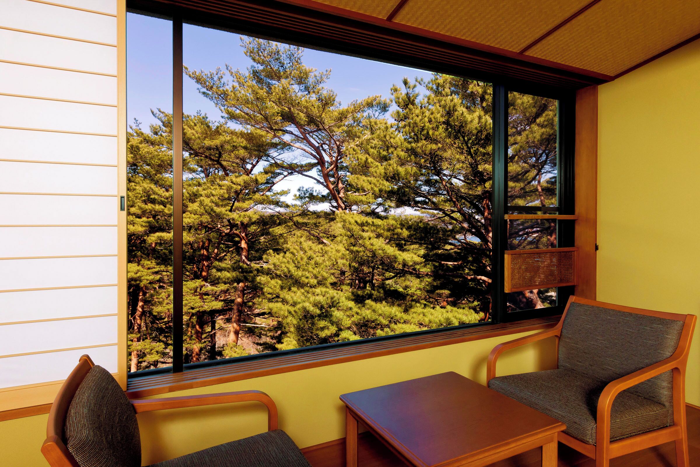 A room with a large window offering a view of pine trees. There are two wooden chairs and a small table.