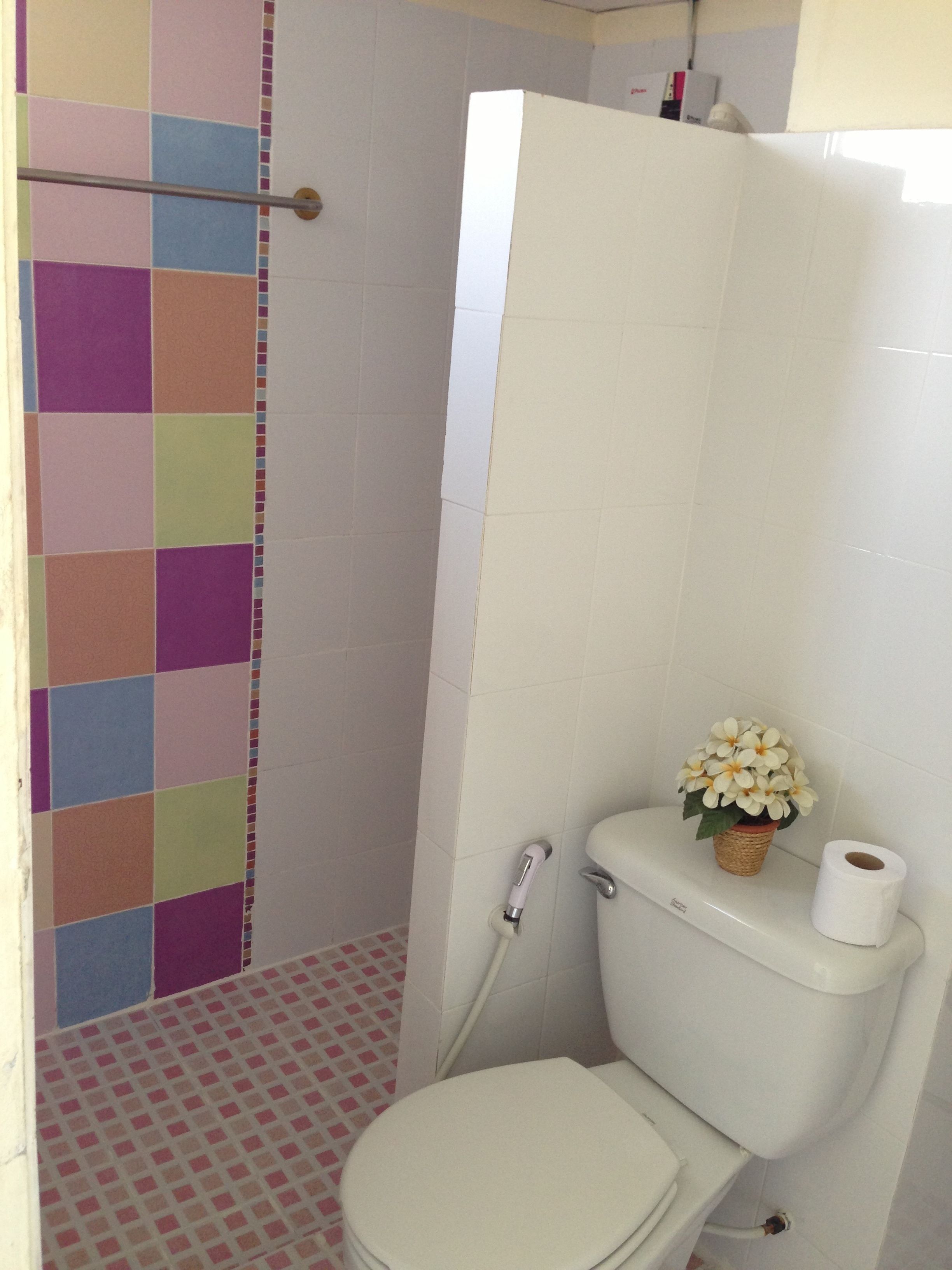 Et badeværelse med toilet, bruseområde med farverige fliser og en lille potteplante på toilettanken.