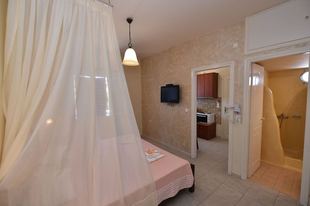 Un dormitorio con cama, televisor, baño con bañera y una zona de cocina.