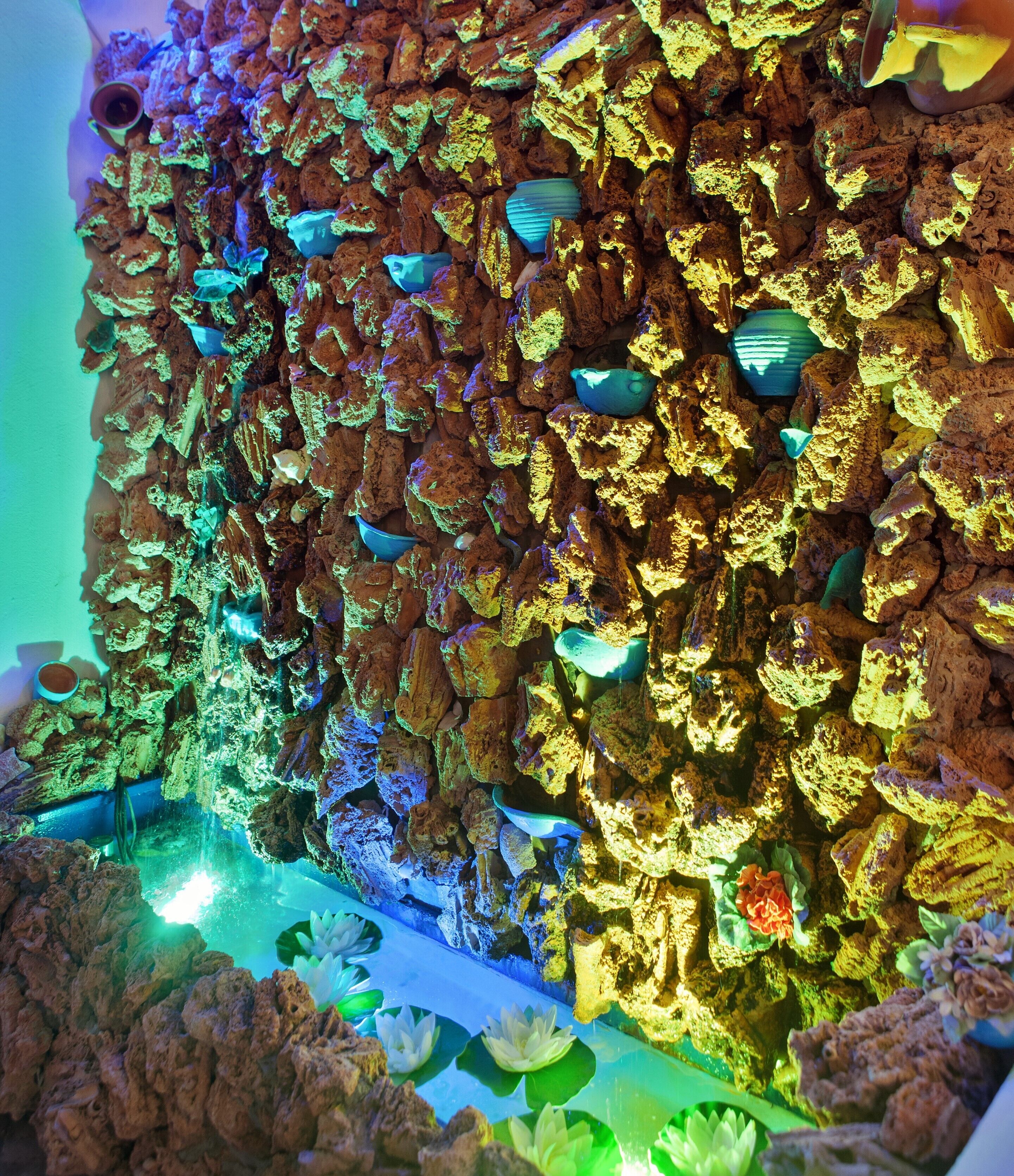 Un aquarium aménagé avec des roches, où vivent différentes espèces de poissons et des plantes aquatiques.