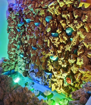Un aquarium aménagé avec des roches, où vivent différentes espèces de poissons et des plantes aquatiques.