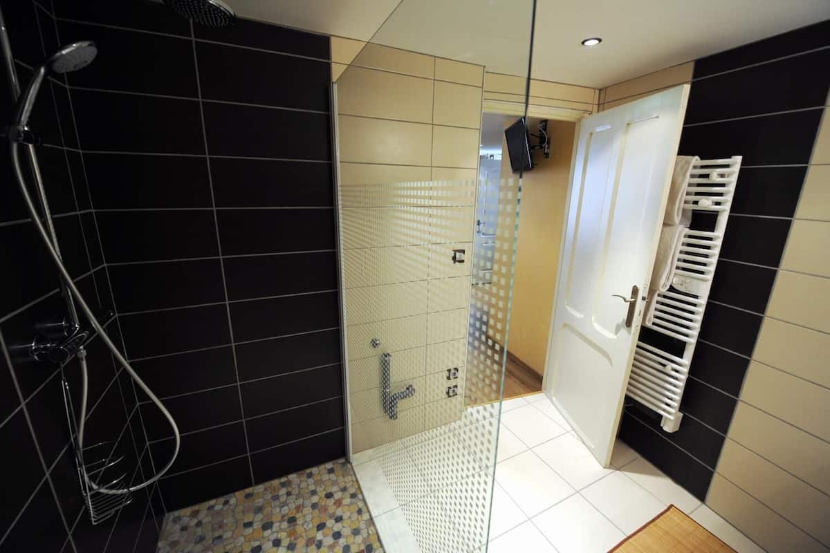 apartment | bathroom | shower, free toiletries, hair dryer, towels