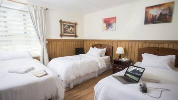 Chambre Triple, 3 lits une place | Vue de la chambre